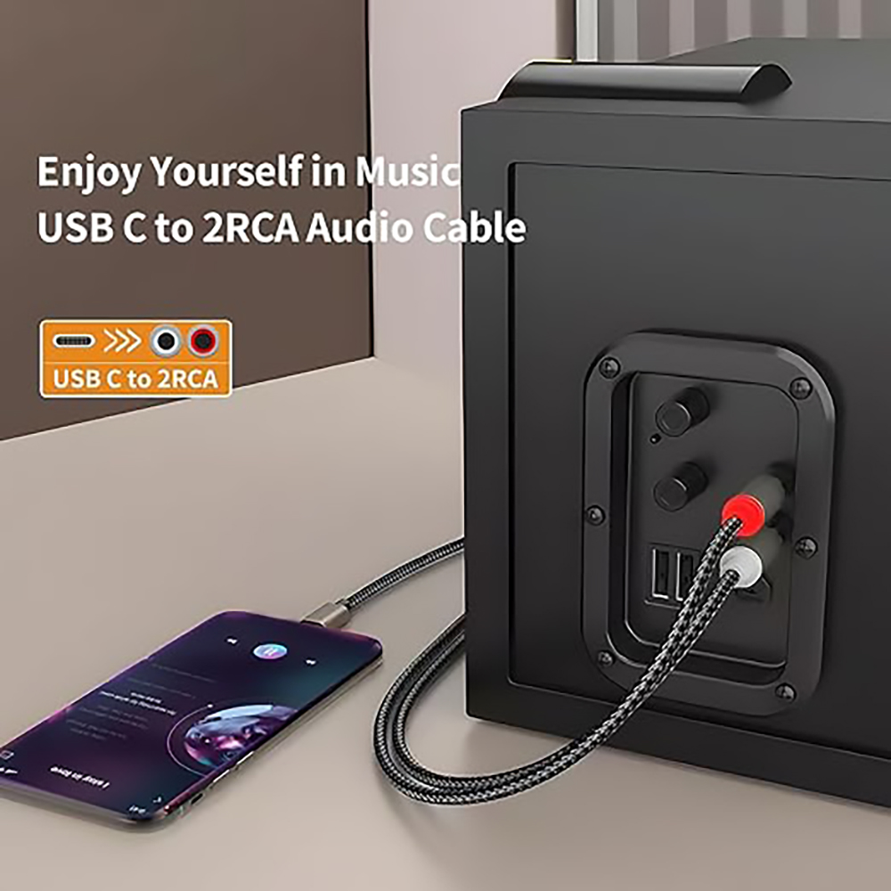 Cavo audio da USB C a 2 RCA, t - Earphone Splitter Jack recensione e prezzo